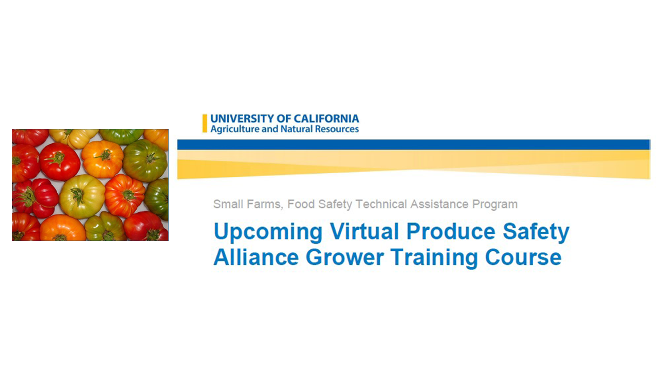 image of red, green, yellow, orange tomatoes plus text for UCANR PSA Grower Training event