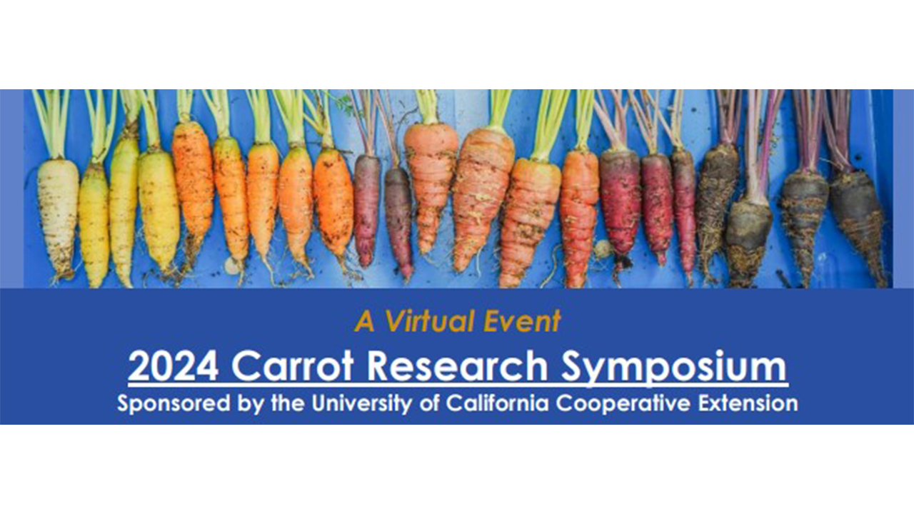 image of multicolored carrots over text "UCANR 2024 Carrot Research Symposium"